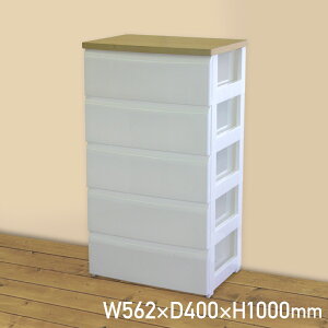 5i`FXg ؓVt W562 D400 H1000 `FXg ߑP[X [Ƌ rO xbh[ q h[[ N[[bg oh~ |vs ϔ ؓV 5i V