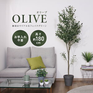 tFCNO[ I[u W600 D600 H1800 lHϗtA tFCNO[  G CeAO[   Vbv I[u  AȎ bNX Mtg v[