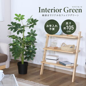 lHϗtA htJmL W500 D500 H1050 lHϗtA tFCNO[  G CeAO[  Vbv htJmL  AȎ bNX Mtg v