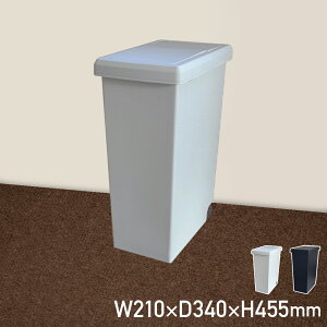 XChy[20L W210 D340 H455 _Xg{bNX S~ [Ƌ Wt ^b` XChI[v I JE^[ 20L^Cv ܎~  LX^[ 􂢉\ RpNg 21cm 