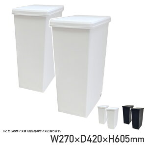 スライドペール45L 2個セット W270 D420 H605 ダストボックス ゴミ箱 収納家具 蓋付き ワンタッチ式 スライドオープン 棚下 カウンター下 45Lタイプ 袋止め 引手 キャスター 水洗い可能 2個セット