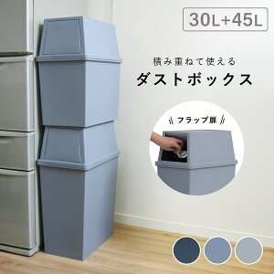 ςݏd˃S~X^CvZbg W280 D450 H1165 S~ _Xg{bNX X^bN^Cv X^Cv Zbgi 28cm s45cm 116.5cm ~NeBx[W/iCgu[/N[O[ t