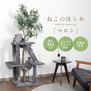 ˂̋x Lbgc[ } W715 D450 H1650 ˂̋x؃V[Y Lbgc[ ybgƋ u^Cv [fUC tFCNO[ ܂Ƃ nbN LbgnEX L