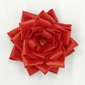 Tp{Ĺi J́j {o Ԃ̂