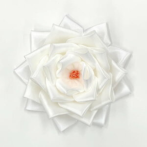 Tp{Ĺi J́j 僊{o Ԃ̂