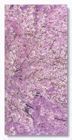 タペストリー（スクリーン） 満開の桜
