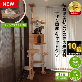 【 P10倍　anan 25ans 2誌掲載　13日から16日　8％offクーポン 】　建築家 大工 考案 画期的！ ねこハウスシリーズ キャットタワー 突っ張り Type3-A 猫 遊び場 空間 自由自在 カスタマイズ 国産 天然木製 スリム 木製