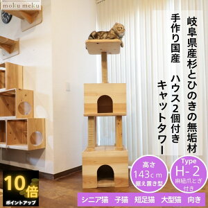 【 P10倍 anan 25ans 2誌掲載 22日から27日 5%offクーポン 】 建築家 大工 考案 画期的! ねこハウスシリーズ 据え置き ハウス TypeH2 国産 杉 桧 無垢材 木製 シニア猫 短足猫 遊び場 自由