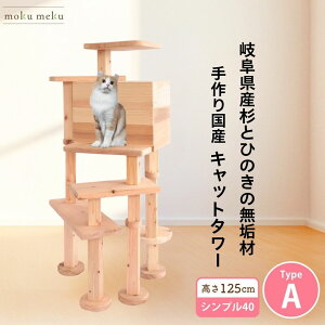 y P5{@anan 25ans 2f 30 8%offN[| z@Y  O Vv 40V[Y TypeA Lbg^[ ₷ VjAL nEX ؐ u^ X C L L^[ ܂Ƃ v