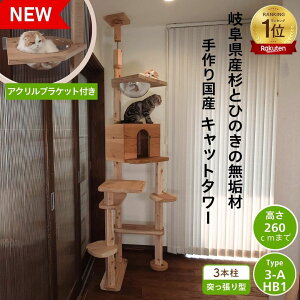 y P5{ anan 25ans 2fځ@30@10offN[| z@z H l II ˂nEXV[Y Lbg^[ ˂ Type3-A L Vя  R JX^}CY Y VRؐ 