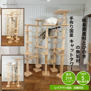 y P5{@anan 25ans 2f 30 8%offN[| z@Y  O Lbg^[ ؐ TYPE5 2xbhZbg u^ Vv X C L L^[ ܂Ƃ v  ^L ݉\ 