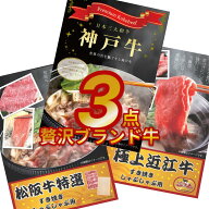 【エントリーでP10倍】結婚式や二次会の景品に 松阪牛 神戸牛 近江牛をそろえたブランド牛の贅沢グルメ目…