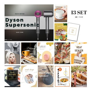 y|Cg10{ vGg[zyLz 񎟉 Ƃ߂ ii Zbg ژ^ 13_Zbg _C\ hC[ Dyson Supersonic A3pl p[eB[ rS YN iiyQR\z