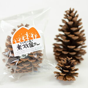 松ぼっくり 天然の通販 価格比較 価格 Com