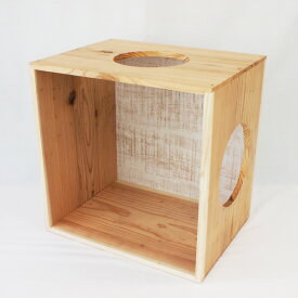 DIY組合せキューブ C （組立キット） キャットタワー キャットウォーク本棚 シェルフ 組合せ 収納 ボックス 木工 木製 手作り 夏休み 小学生 自由研究 木工教室 ワークショップ キッズ