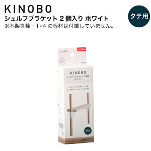 KINOBO VFtuPbg 2 zCg DIYp[c a24mmؐۖ_p AC AP-3022W