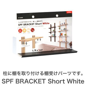SPFuPbg@V[g@zCgǖʎ[ oCpp[c@@DIYpp[c@uPbg  zCg@I