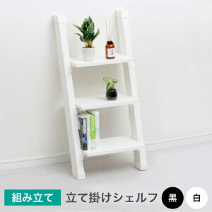 2×4 Ċ|VFt c[oCpp[cDIYpp[cap-3007wap-3007b2x4 c[oCtH[ Ƌ IACy4dqz