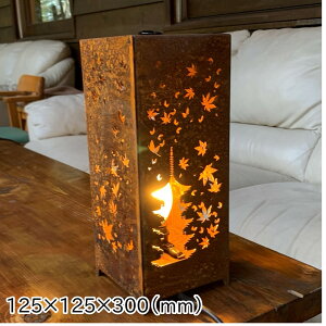 Mole ^ Square gtÓ@mole103000 (Re| COR-TEN| TrF s K[fjO Ɩ ^  ̂ hXP[v Ɩ@ ԐڏƖ  s  AeB[