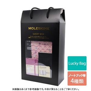 yXLX Vbp[tzXL 2025N Lucky Bag XL m[gubN ʌ