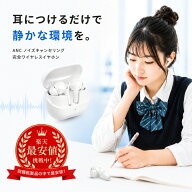 ノイズキャンセリング専用イヤホン ノイズ対策 最安値挑戦中 イヤホン型 ノイズキャンセラー ノイズキャ…