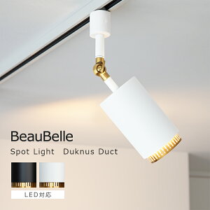 X|bgCg 1 _NiX_Ng Duknus Duct Ɩ  k _Ng[p LEDdΉ Ɩ dC VƖ t ԐڏƖ CeA Lb` _CjO rO Q Ce