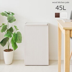 45l 木製 オシャレ ダストボックス ゴミ箱 ごみ箱 通販 価格比較 価格 Com
