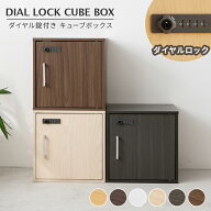 ダイヤル錠付き キューブボックス 扉付き 鍵付き 収納ボックス ふた付き 本棚 収納棚 収納家具 CUBE BOX …