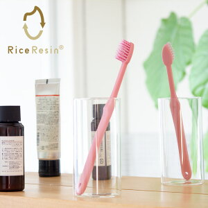 CXW uV LO 12{i3F×4{jyGR TXeiu  I[PA f^PA Vv т̍d ӂ lp nuV Ĕz vX`bNz