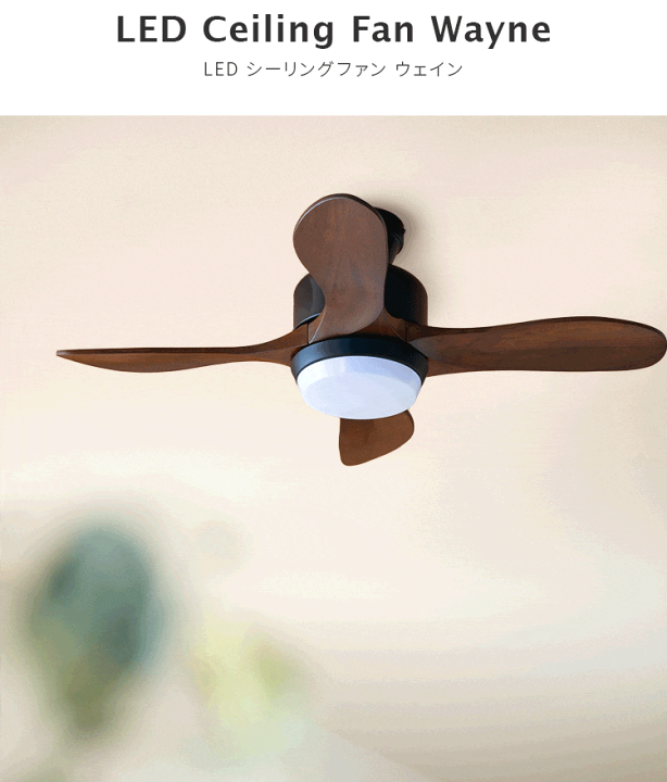 楽天市場】LEDシーリングファンライト ウェイン おしゃれ 間接