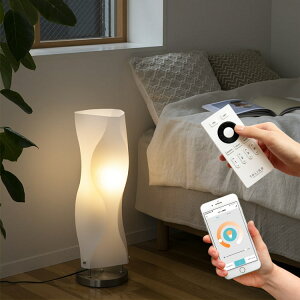 [X}zΉ RELEDdt]tACg 1 ~jF[g Ɩ dC ؍CeA ԐڏƖ X^hCg Ɩ tAv  xbhTCh Q 