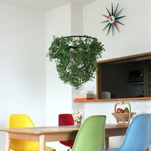 y_gCg 1 ~j tHXeB fBNbZ DI ClASSE { LP3000GRyԐڏƖ k Ɩ Cg V Ɩ  [Cg _CjOp Hp dC CeACg 