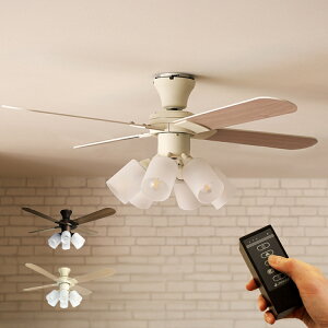 Modern Collection V[Ot@ 6 JE-CF015 JAVALO ELF Rt V[Ot@Cg VƖ o[VuH _  CeA V[OCg rO _CjO@Q