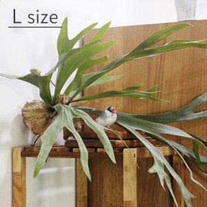 yȂ邷ztFCNO[ RE L yȂ邷 O[  tFCN K[h A[eBtBVO[ Ǌ| ϗtA k CeAG  