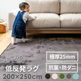 低反発ラグマット 200x250cm 滑り止め付き ふかふか ラグ 厚手 北欧 おしゃれ 長方形 3畳 もっちりラグ 絨毯 じゅうたん 冬用ラグ オールシーズン マット 赤ちゃん ベビー ノンホルムアルデヒド 防ダニ 抗菌 撥水 ホットカーペット対応 床暖房 遮音 防音 あったかグッズ