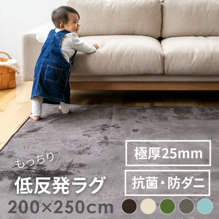 楽天市場 低反発ラグマット 0x250cm 滑り止め付き 厚手 ラグ 長方形 3畳 ふわふわ 絨毯 じゅうたん おしゃれ 秋冬用 春夏用 オールシーズン マット 赤ちゃん ベビー ノンホルムアルデヒド 防ダニ 抗菌 撥水 ホットカーペット対応 床暖房 遮音 防音 北欧 インテリアと 楽天市場 低反発ラグマット 0x250cm 滑り止め付き 厚手 ラグ 長方形 3畳 ふわふわ 絨毯 じゅうたん おしゃれ 秋冬用 春夏用 オールシーズン マット 赤ちゃん ベビー ノンホルムアルデヒド 防ダニ 抗菌 撥水 ホットカーペット対応 床暖房 遮音 防音 北欧 インテリアと