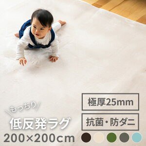 ᔽO}bg 200x200cm ~ߕt ӂӂ O  k  ` 胉O O~ イ I[V[Y }bg Ԃ xr[ mzAfqh h_j R 