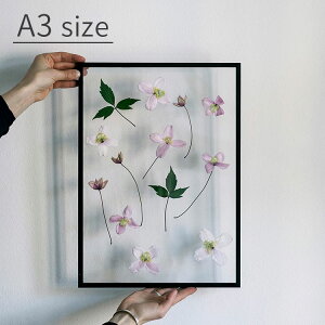 FRAME t[ A3TCY MOEBE [xyz z ` ʐ^ |X^[ Ǌ| ؐ  A~ AN I[N ubN zCg   mN Vv k CeAG  C