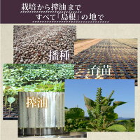 えごま油110gx3本【島根県産】【送料無料・無農薬栽培・非加熱】【本数限定特別価格販売中】