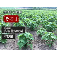 えごま油110gx3本【島根県産】【送料無料・無農薬栽培・非加熱】【本数限定特別価格販売中】