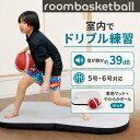 【モルテン公式】molten | モルテン | バスケットボール | roombasketball | ルームバスケットボール | 5号 | 6号 | …