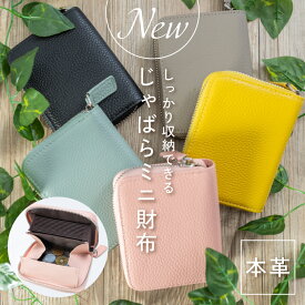ミニ財布 レディース 本革 カードケース カード入れ 大容量 ゴールド ファスナー ミニウォレット コンパクト コインケース 二つ折り じゃばら 小銭入れ お札が折れない カードたくさん 収納 ブランド 使いやすい スキミング防止