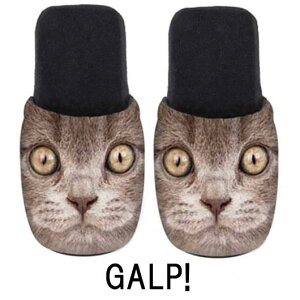 cats Xbp [V[Y [X|W C^A 􂦂  킢 lR L Aj}  qp uh Rbg I[V[Y Y fB[X MtgZbg yA 