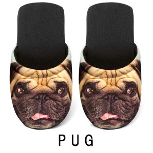 Xbp [V[Y C^A 􂦂Xbp  ItBX qp  I[V[Y Y fB[X yA pO  Aj} Rbg dogs eurospugna [X|W