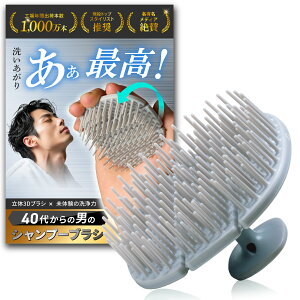 ỹvďCz Vv[uV Y y40ォ̒j́z uV XJvuV mDear Mr.n