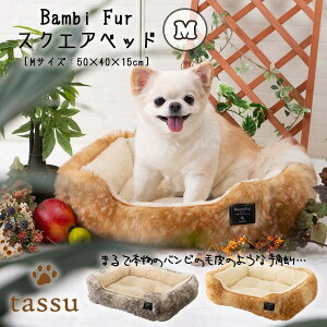 XNGAxbhM 50×40×15cm ort@[ ybgxbh tassu ^bX Aj} or    Ck L lR ˂ ybg ybgpxbh t@[ CeA   168-6454 2024N