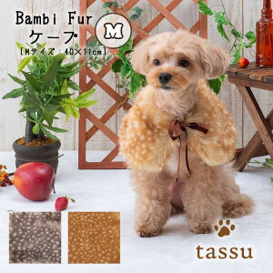 yzP[v STCY hbOEFA |` ort@[ tassu ^bX or   Ck  L lR ˂ ybg ybgp ѕz t@[   168-6462 2024N