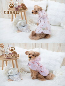 t[htUEFA Osanpo Wear STCY 23cm tassu ^bX XEB[c XC[c }tB   Ck L lR ˂ ybg ybgp EFA  h  ͂ ~p A