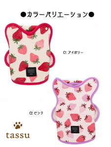 y2TCYWJzѕz STCY24cm MTCY30cm t~ tassu ^bX tl {A k ԕ ͂ [jE  C`S    Ck L lR ˂ ybg yb