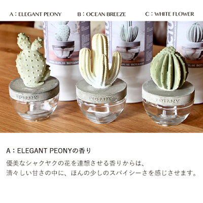 DULTON(ダルトン)CACTUSFRAGRANCEDIFFUSER:カクタスフレグランスディフューザー
